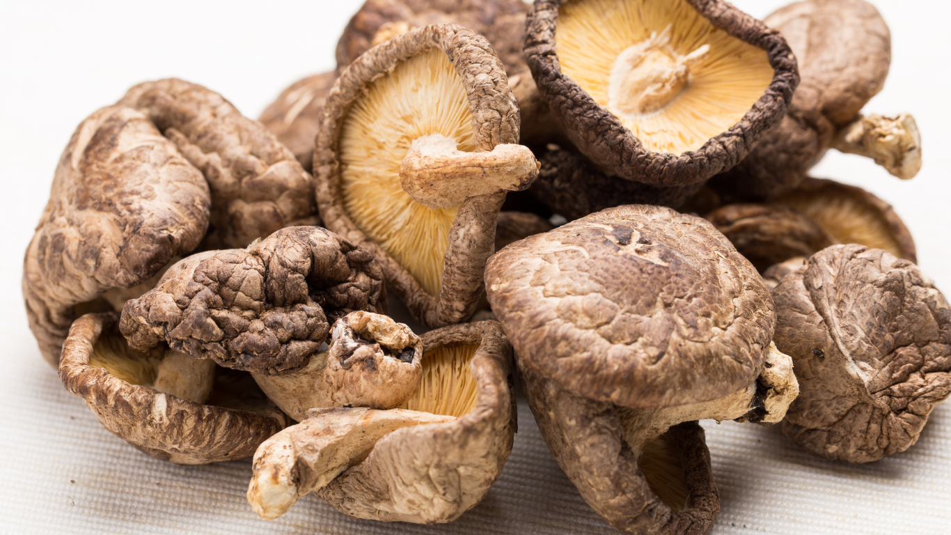 Button Mushroom Exporter From India