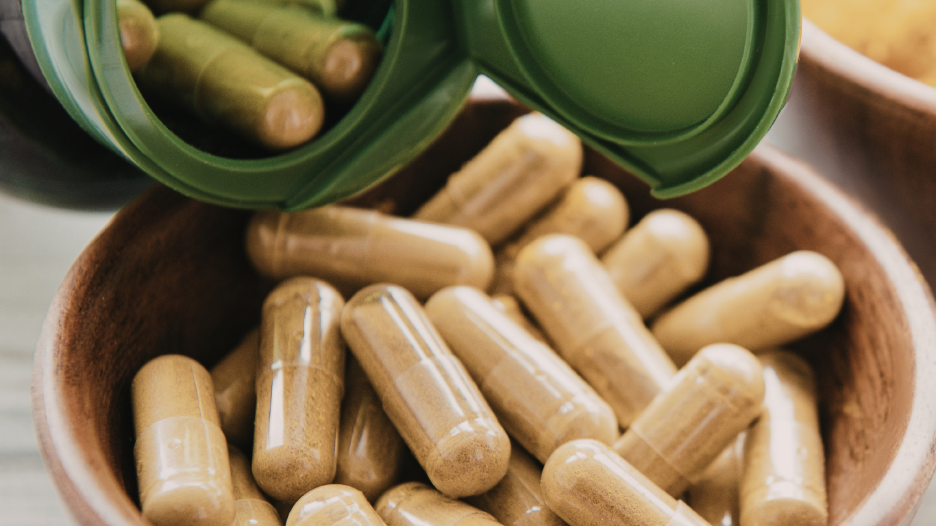 Green Tea Extract Exporter From India