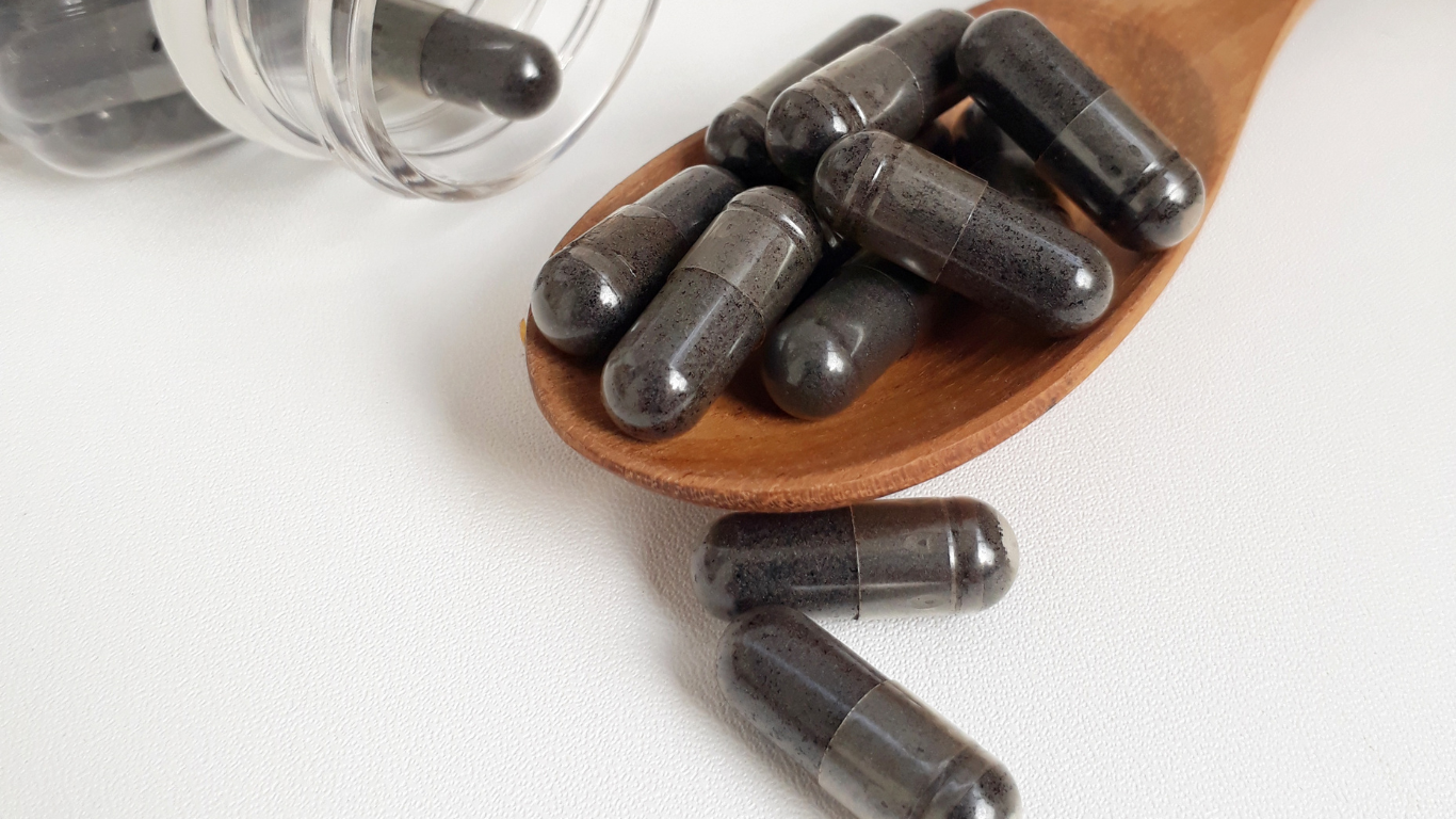 Shilajit Extract Exporter From India