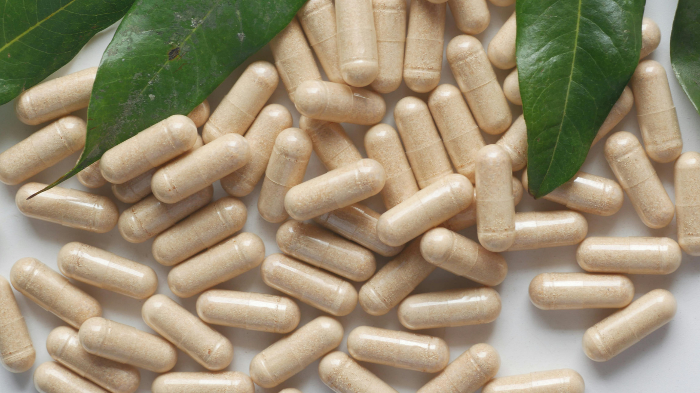 Shatavari Extract Exporter From India